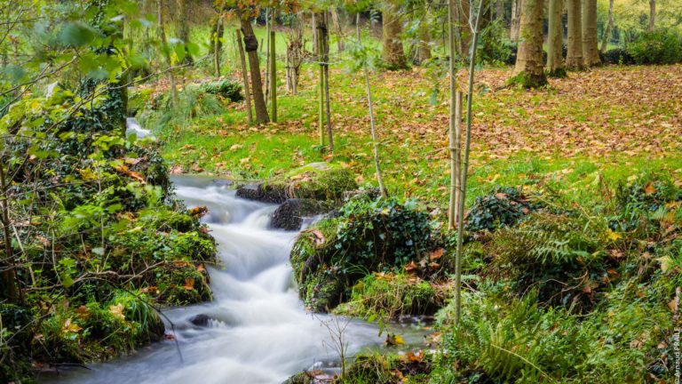 IMG_0687-Modifier-min