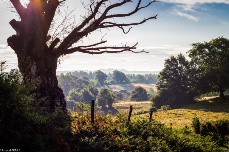 IMG_5686-Modifier-min