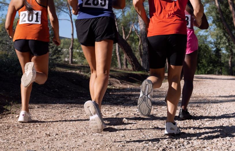 Festi Trail - Saint-Malô-du-Bois